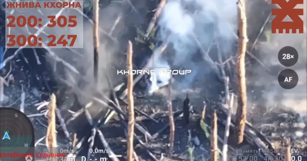 Скриншот з відео У лісах під Куп’янськом знищили окупантського «термінатора» на порталі Gromada Group
