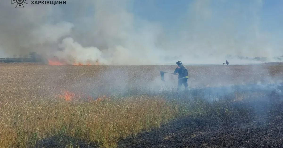 Фото: ГУ ДСНС України у Харківській області У Курилівці через ворожі обстріли горіло пшеничне поле на порталі Gromada Group