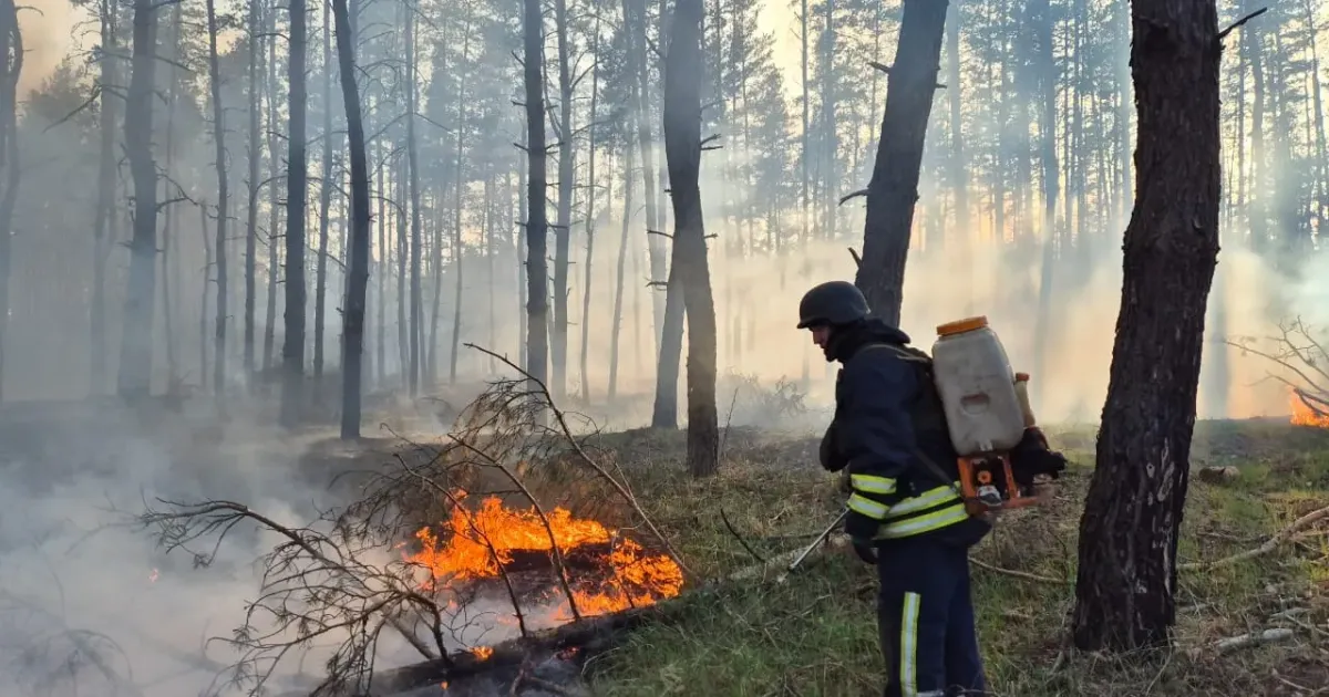 Фото: ГУ ДСНС України у Харківській області У Курилівці і Подолах через ворожі обстріли горіли ліси на порталі Gromada Group