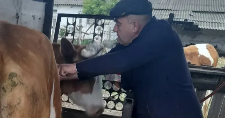 Фото: Головне управління Держпродспоживслужби в Харківській області Домашніх тварин проти сказу вакцинують на Куп'янщині на порталі Gromada Group