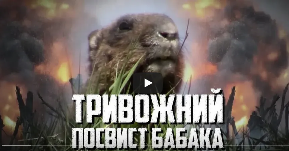 Фото: скриншот з відео "ТРИВОЖНИЙ посвист БАБАКА" Байбаки Куп'янщини під загрозою — російські окупанти знищують все живе на порталі Gromada Group